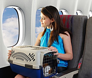 HOW TO CHOOSE THE BEST AIRLINE APPOVED DOG CARRIERS, BASKETS, AIRPLANE TRAVEL WITH DOG