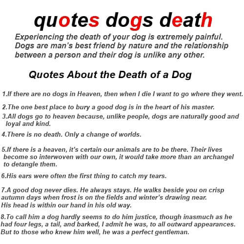 rip dog quotes