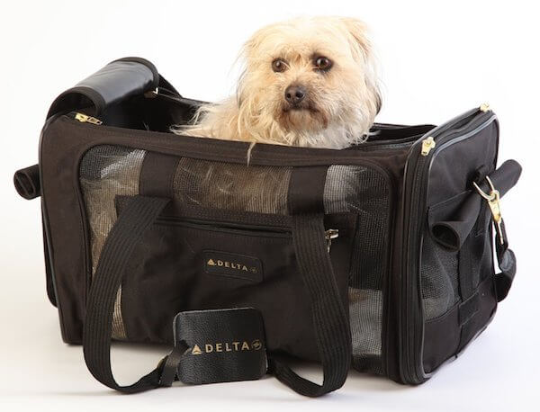 BUY THIS DOG AIRLINES APPROVED CARRIER BACKPACK