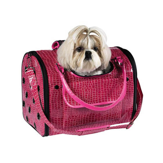 BEST DOG & PUPPY HIKING CARRIERS, BAGS, BACKPACKS