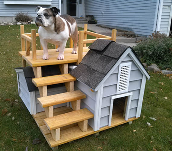 HOW TO PREPARE FOR WINTER YOUR DOGHOUSE