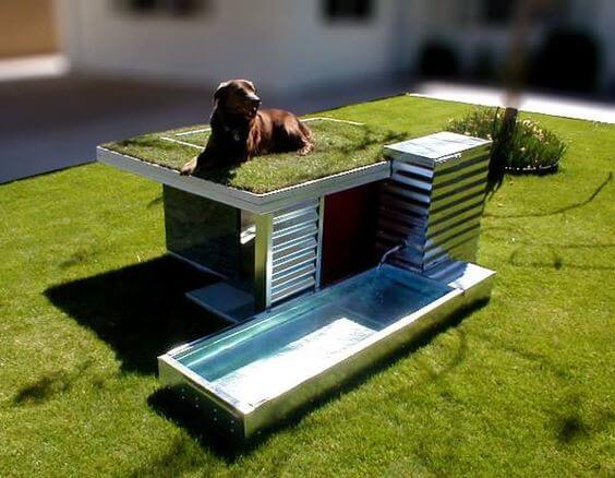 27 CREATIVE DESIGNER DOGHOUSES & PUPPY HOUSES, KENNELS