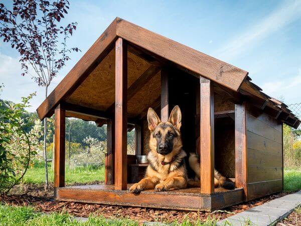 DOGHOUSE RAISED FLOOR, DOG AND PUPPY CAGE, KENNEL, IGLOO