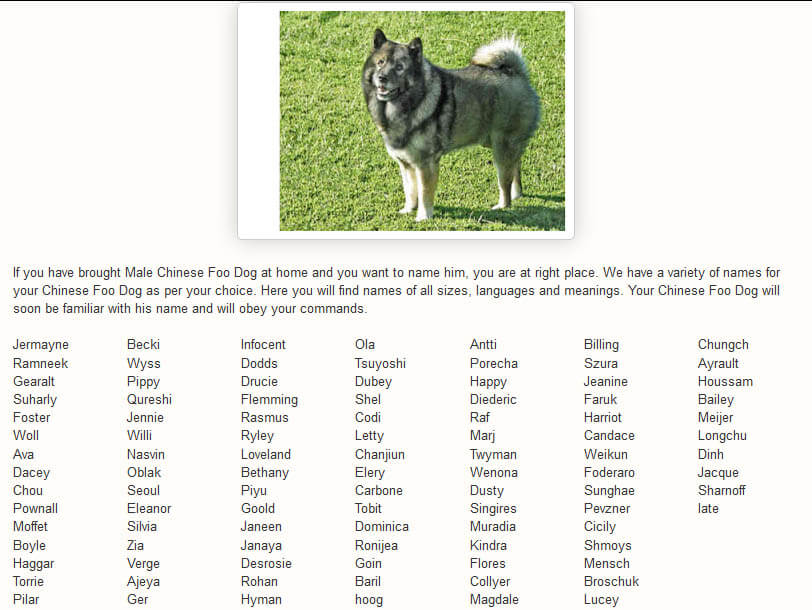 CHINESE & JAPANESE FOO DOGS & LIONS NAMES LIST by WWW.DOGNAMES.TOP
