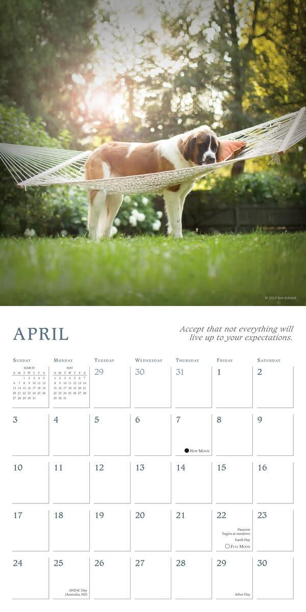 DOG and PUPPY CALENDARS - HOME, DESK, WALL