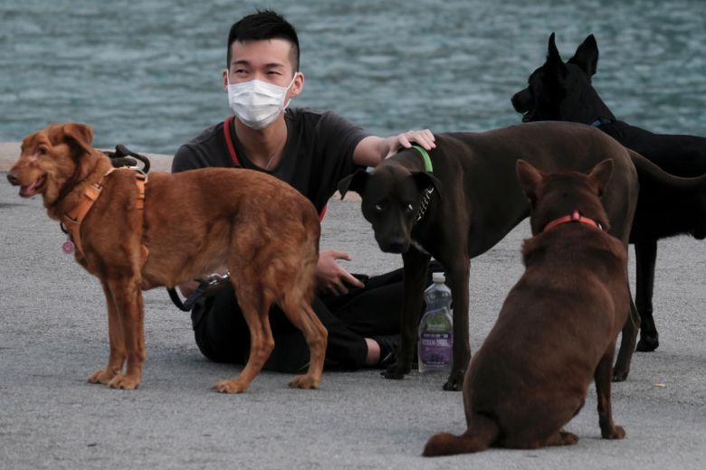HONG-KONG DOGS and CORONAVIRUS COVID-19 - THIS PHOTO (c) by REUTERS !!!