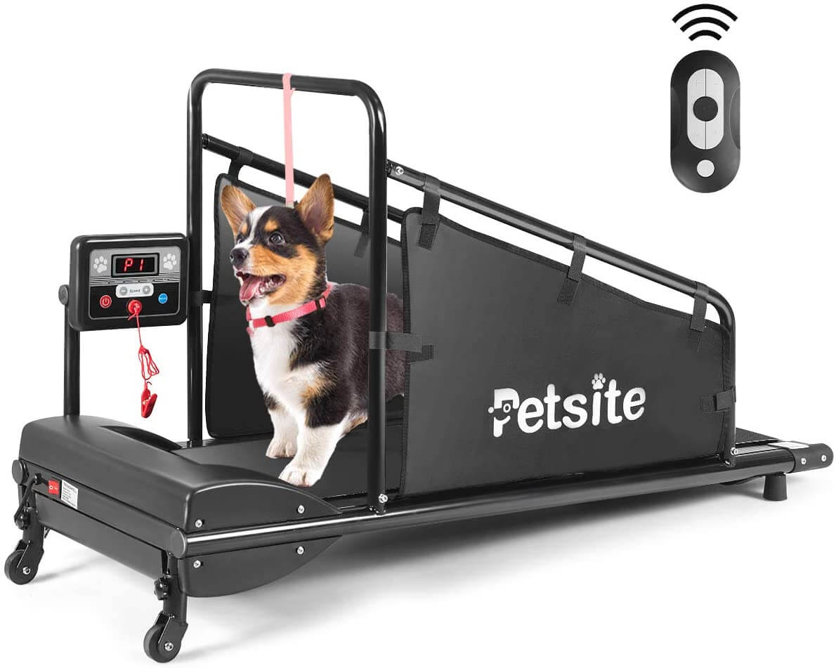 http://www.dogica.com/dogpuppy/Food-Breed/dog-treadmill.jpg