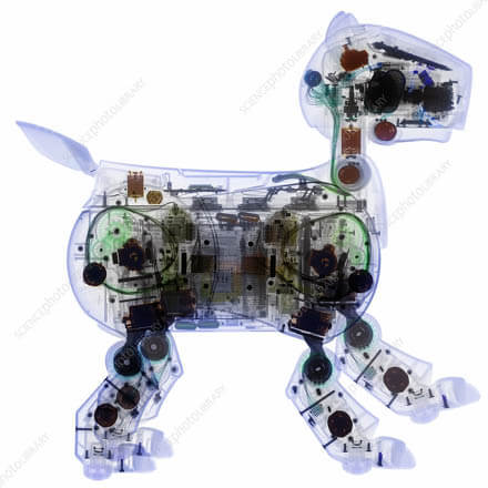 BEST ROBOT DOG TOYS FOR KIDS - BUYING GUIDE