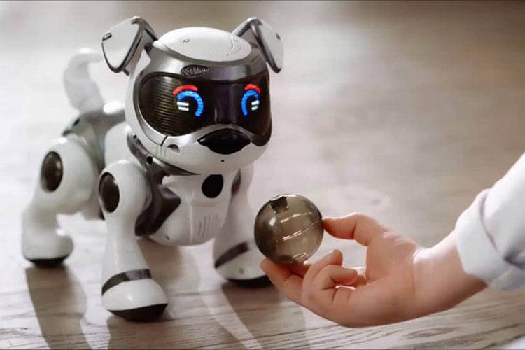 ROBOTIC PETS IN HUMAN LIVES - THE RESEARCH