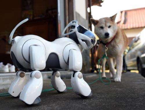 MOST ADVANCED ROBOTIC DOGS IN THE WORLD