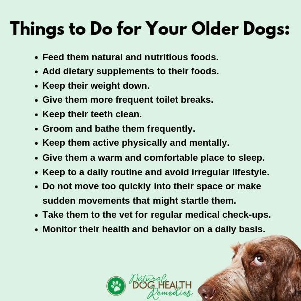 OLD DOG PAIN RELIEF TIPS