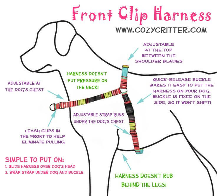 28 Dog Leash Types √ Dog Collar, Harness DOGICA®