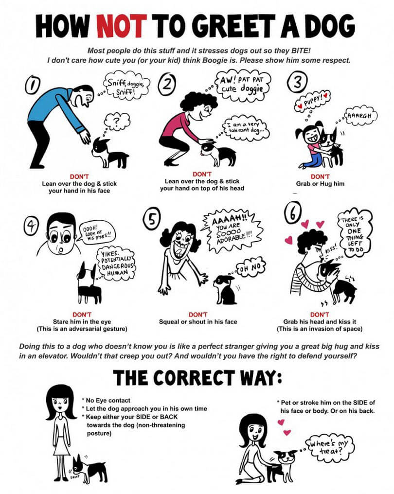 HOW TO HELP CHILD TO OVERCOME FEAR OF DOGS INFOGRAM, INFOGRAPHICS