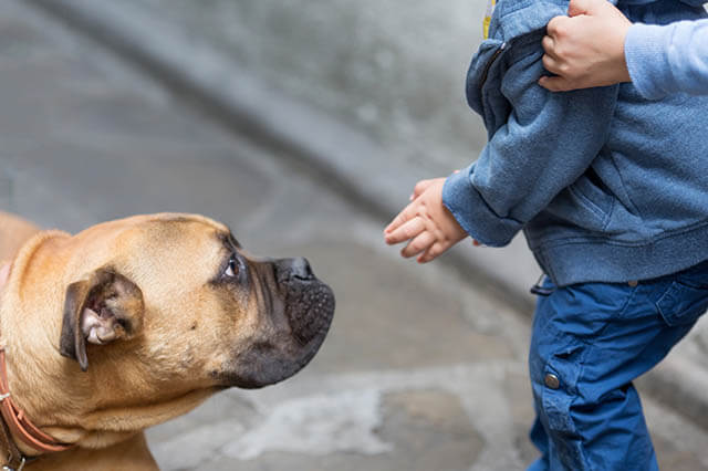 HOW TO HELP CHILD TO OVERCOME FEAR OF DOGS