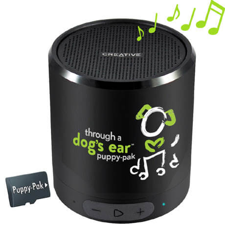 Portable Dog Music Player