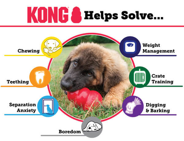 http://www.dogica.com/dogpuppy/dog-training/kong-dog-toy.jpg