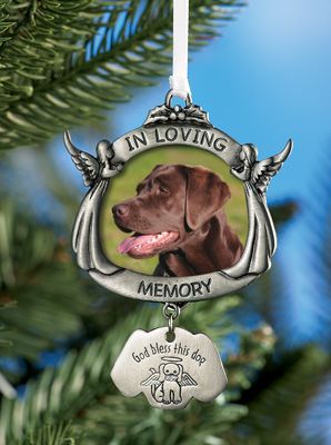 Virtual Dog Memorial, DOG DEATH, R.I.P, Dog loss
