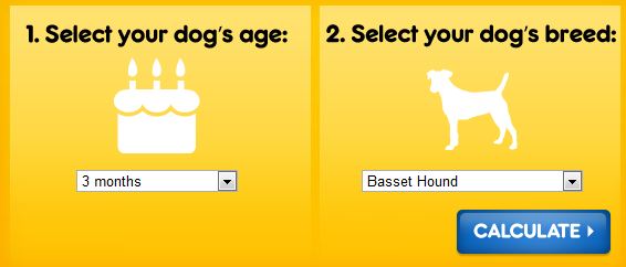 how dogs age calculator