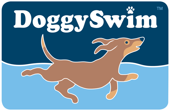 Buy best dog pools & accessory online
