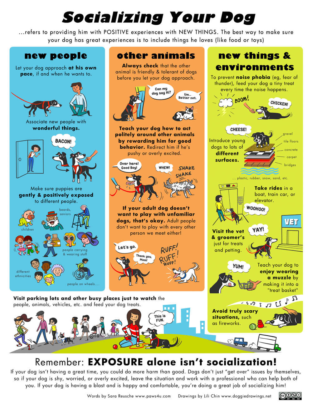 http://www.dogica.com/dogpuppy/dogs/pup-dog-socialization-infographics.jpg