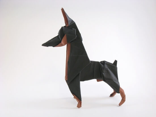 Doberman pinscher by Ares Alanya (Press to Buy online this Origami Dog Template)
