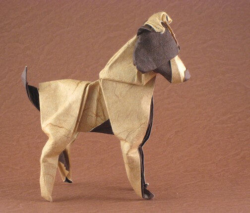 Jack Russel Terrier by Nathan Geller (Press to Buy online this Origami Dog Template)