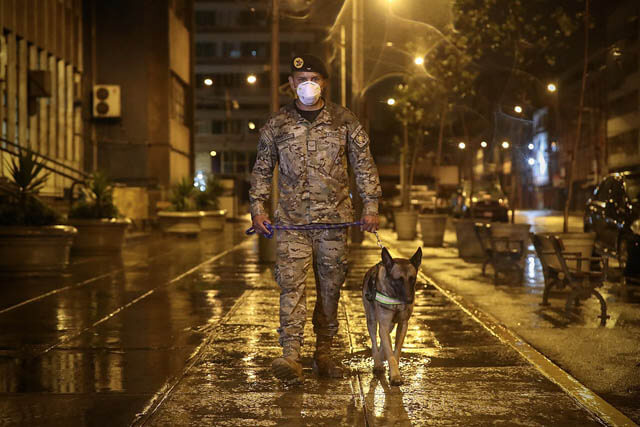 POLICE DOGS WORLDWIDE - THIS IMAGE COURTESY of Ministerio de Defensa del Peru