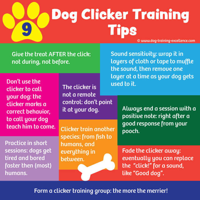Educator Dog Training Finger Clicker with Audible Sound for Positive  Reinforcement, Behavior and Obedience Pet Trainer, Red