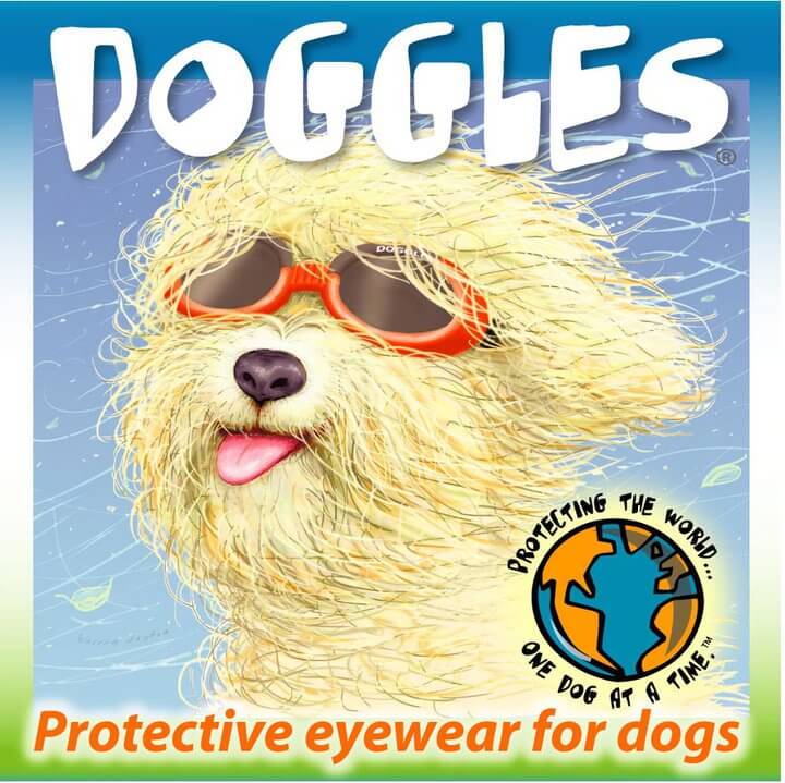 Buy Doggles Online