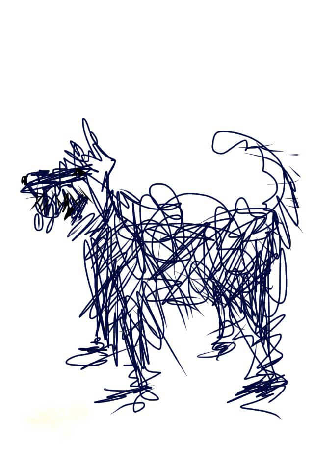 dog art