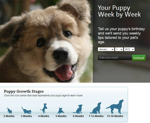 PUPPIES, PUPPY DEVELOPMENT STAGES by WWW.DOGSTER.ORG