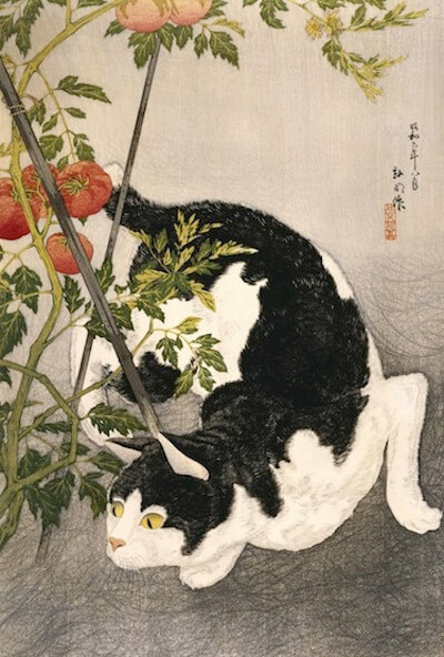 This image (c) by Takahashi Hiroaki (Shotei), published by Fusui Gabo, Cat Prowling Around a Staked Tomato Plant, 1931, woodblock print. THE MUSEUM OF FINE ARTS, HOUSTON/GIFT OF STEPHANIE HAMILTON IN MEMORY OF LESLIE A. HAMILTON.