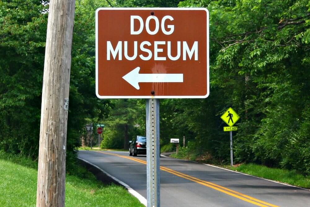 Dog Museums and Art