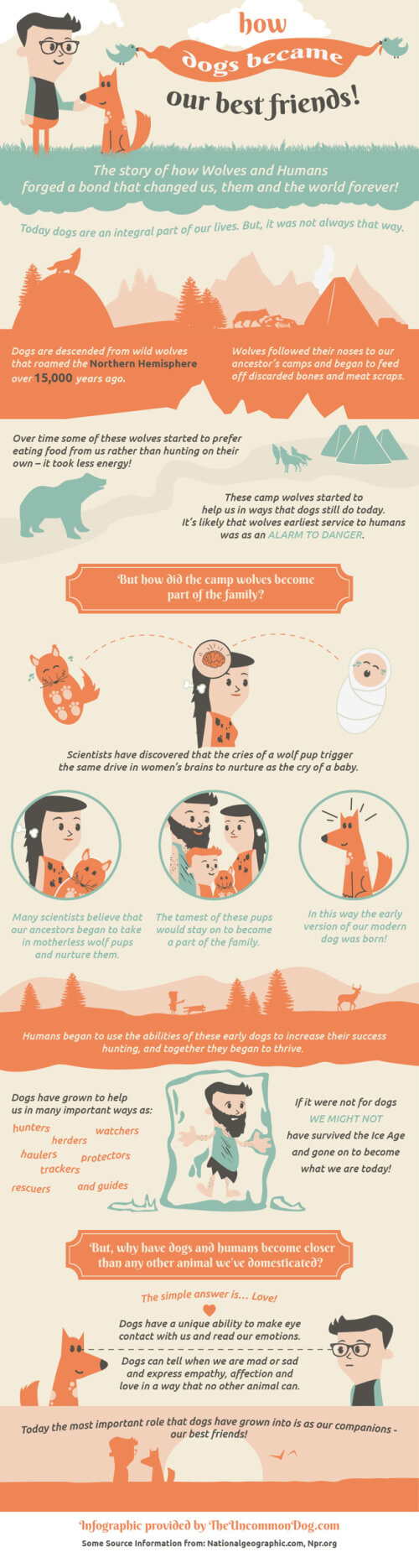 STEPS OF EVOLUTION OF DOGS