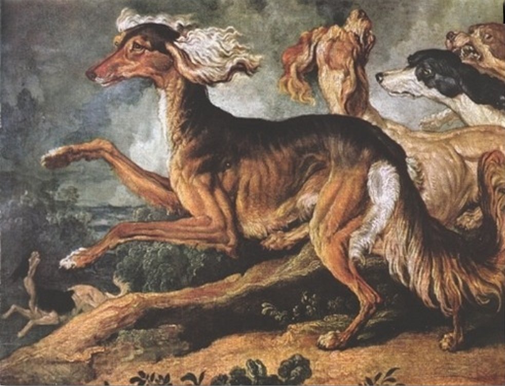 Ancient Dog Breeds Look Evolution