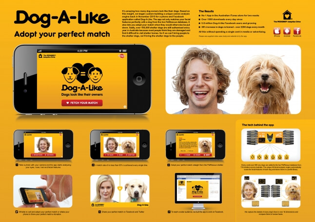 Download & Install Dog and Puppy Cellular & Mobile Applications for Android, Iphone, LG, Samsung, Nokia