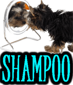 DOG SHAMPOOS & CONDITIONERS