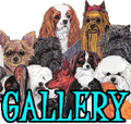 DOGICA® GALLERY
