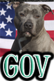 DOGS & GOVERMENT and LAWS