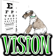 DOG VISION SIMULATOR