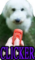 DOG CLICKER TRAINING - DOGICA®