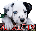 PUPPY ANXIETY