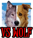 DOG vs WOLF - DOGICA®