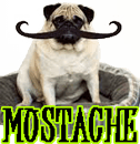 DOG MUSTACHE & WHISKERS