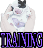 PUPPY TRAINING - DOGICA®