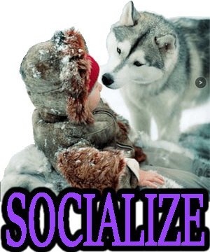 DOG & PUPPY SOCIALIZATION