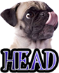 DOG HEAD - DOGICA®