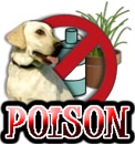 DOG POISONS GUIDE