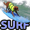 SURFING DOGS - DOGICA®