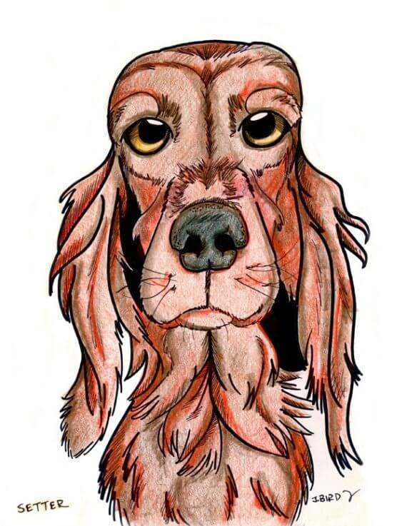 DOG ART, DRAWINGS, PAINT, Dogicature (c) by J.Bird